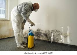 Best Mold Remediation for Vacation Homes  in Mineral Wells, TX